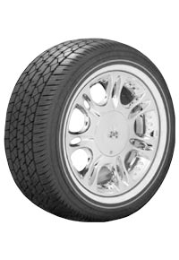 Custom Built Wide Trac Touring II